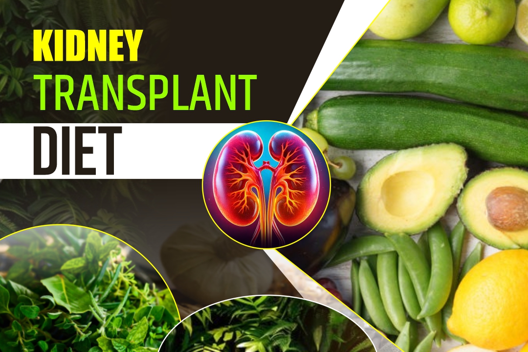 Kidney Transplant Diet | Karma Ayurveda USA